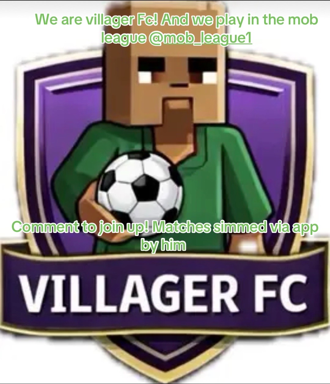 @Villager FC