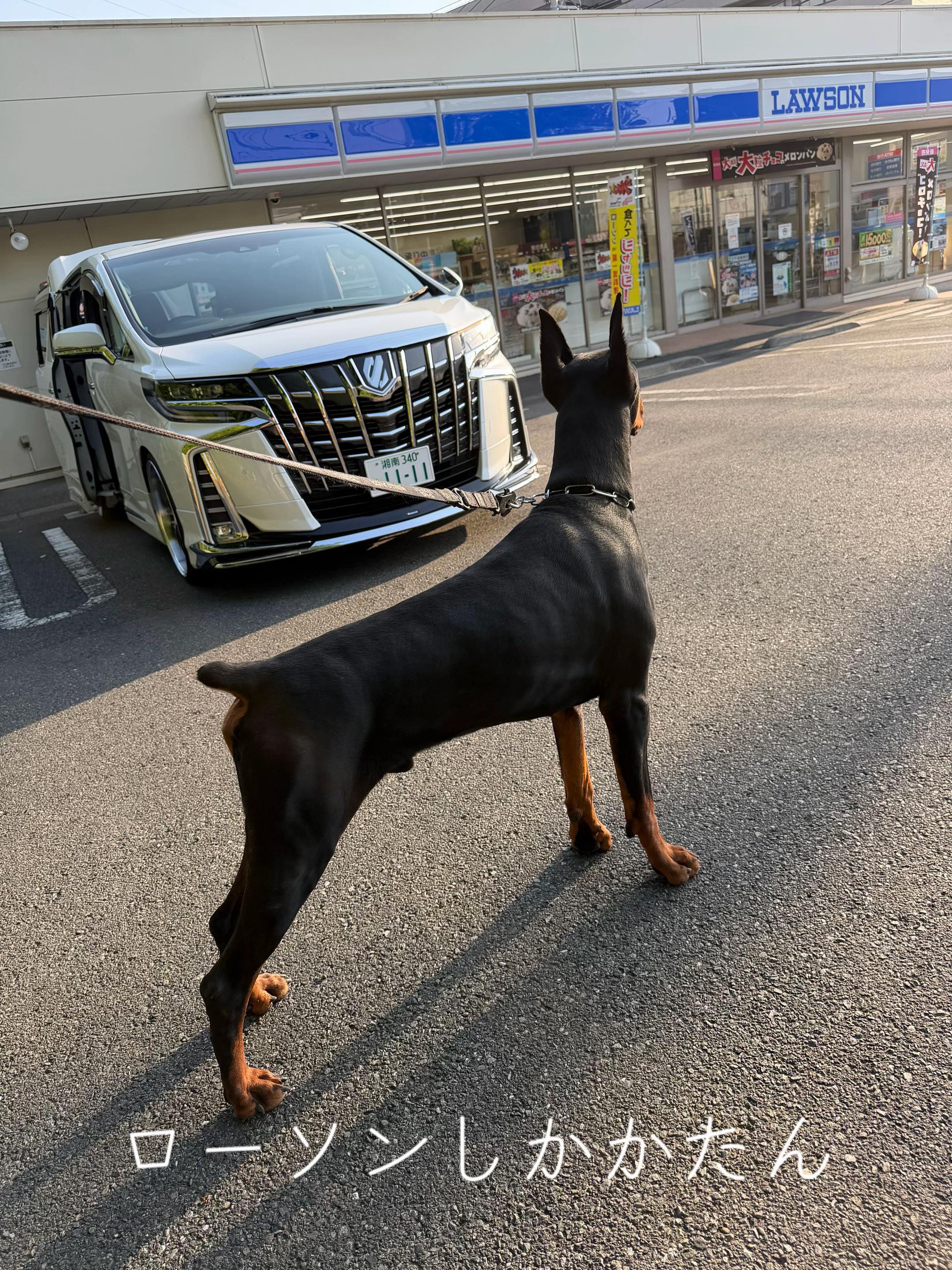 @シオン