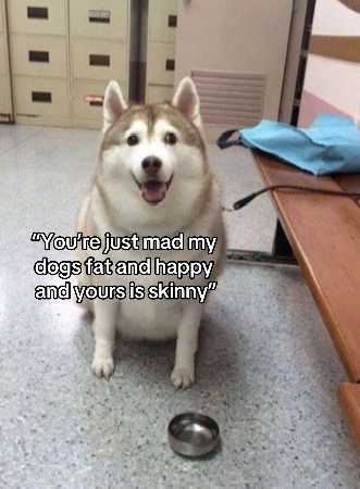 @🪿