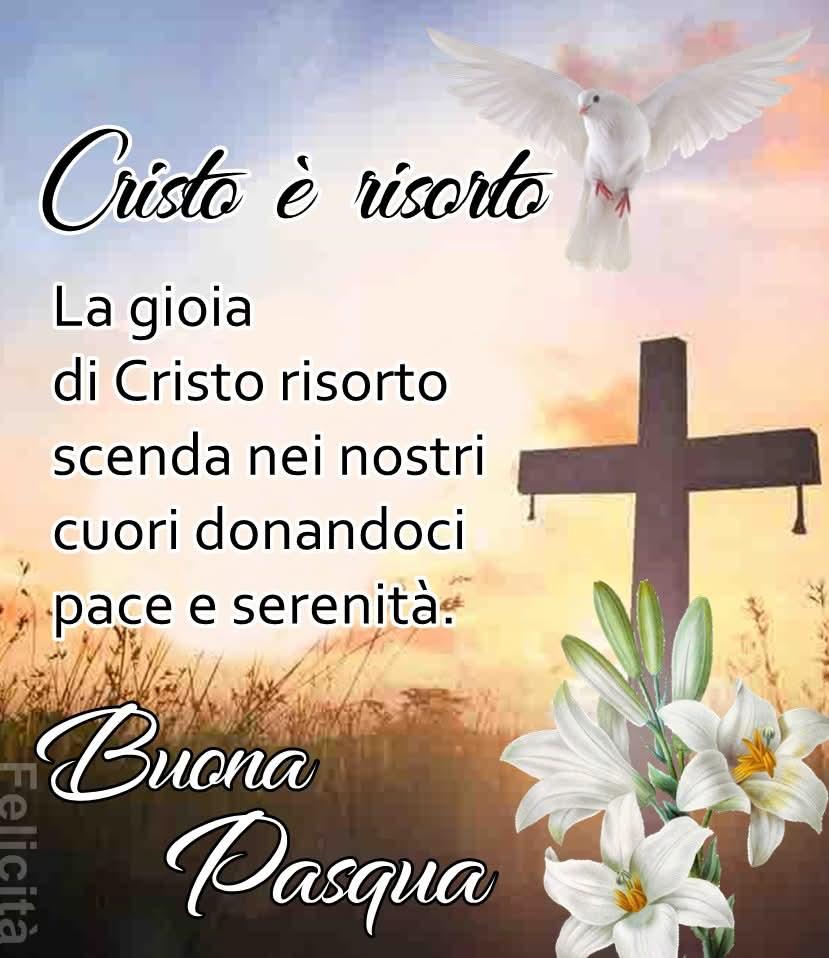 @Francesco Nuzzo