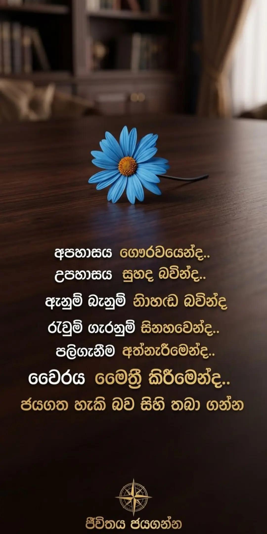 @💜🩵 SA>>`p´`u´_u🩵💜️☸️🇱🇰