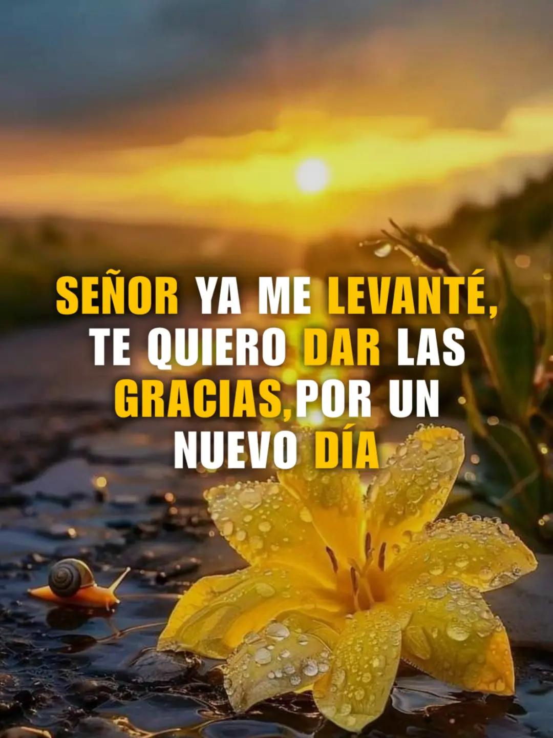@Público con fé 🙏