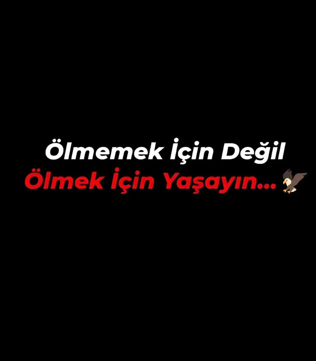 @yaserkanmarci🦁🧢
