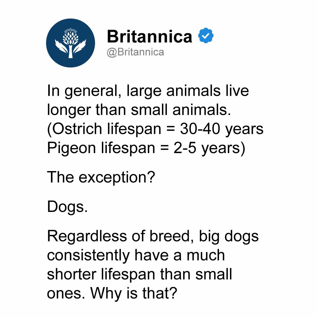 @Encyclopaedia Britannica