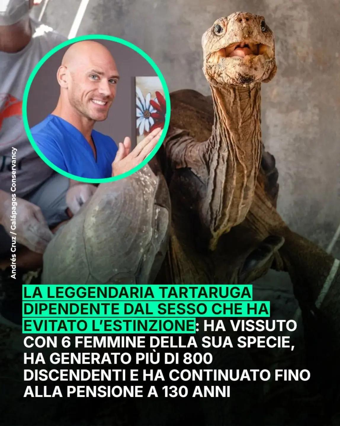 @Massimo salvatore Deiola