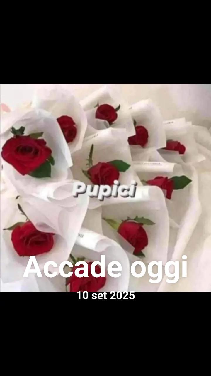 @MARIANA PASCALIU