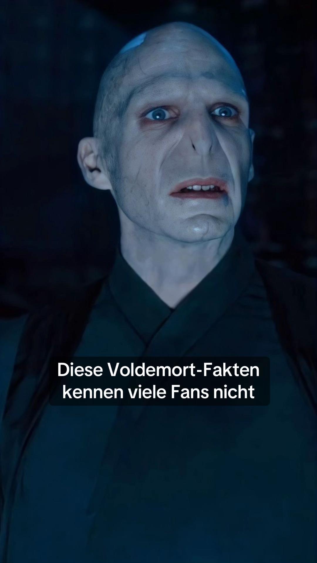 @Muggelgefl&uuml;ster