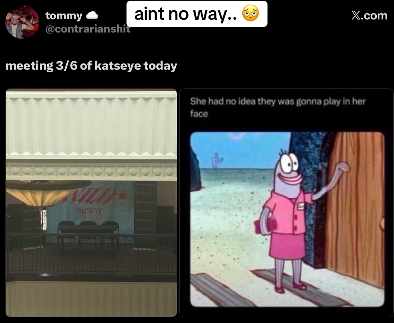 @r🪽