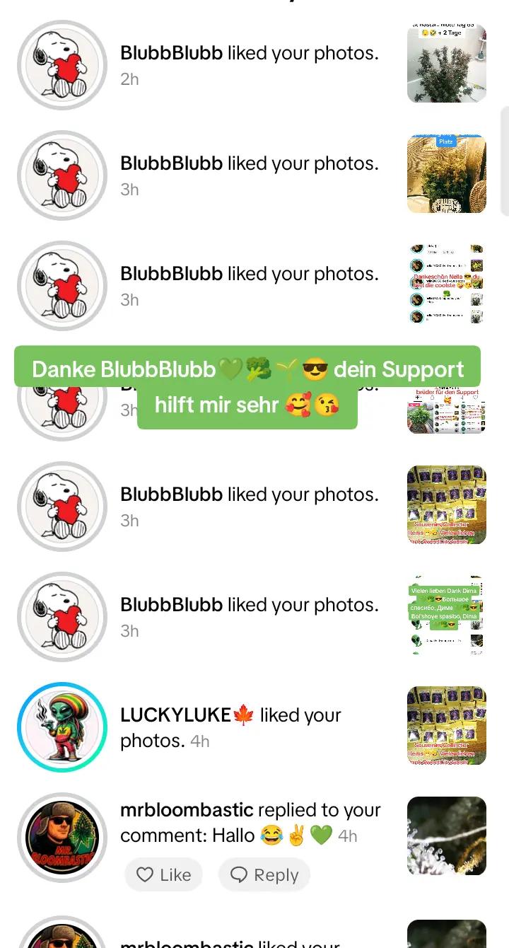 @420_Kaktus.Gurke_69
