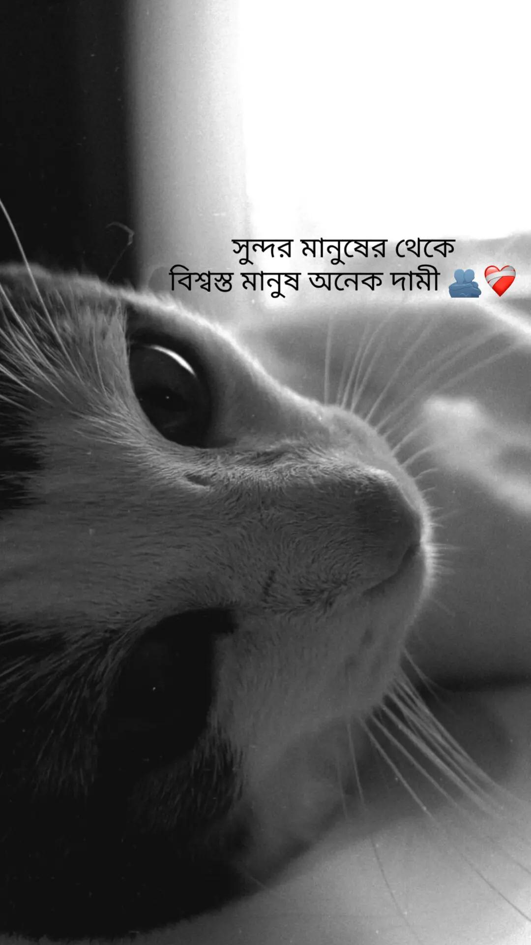 @Tamuuđ