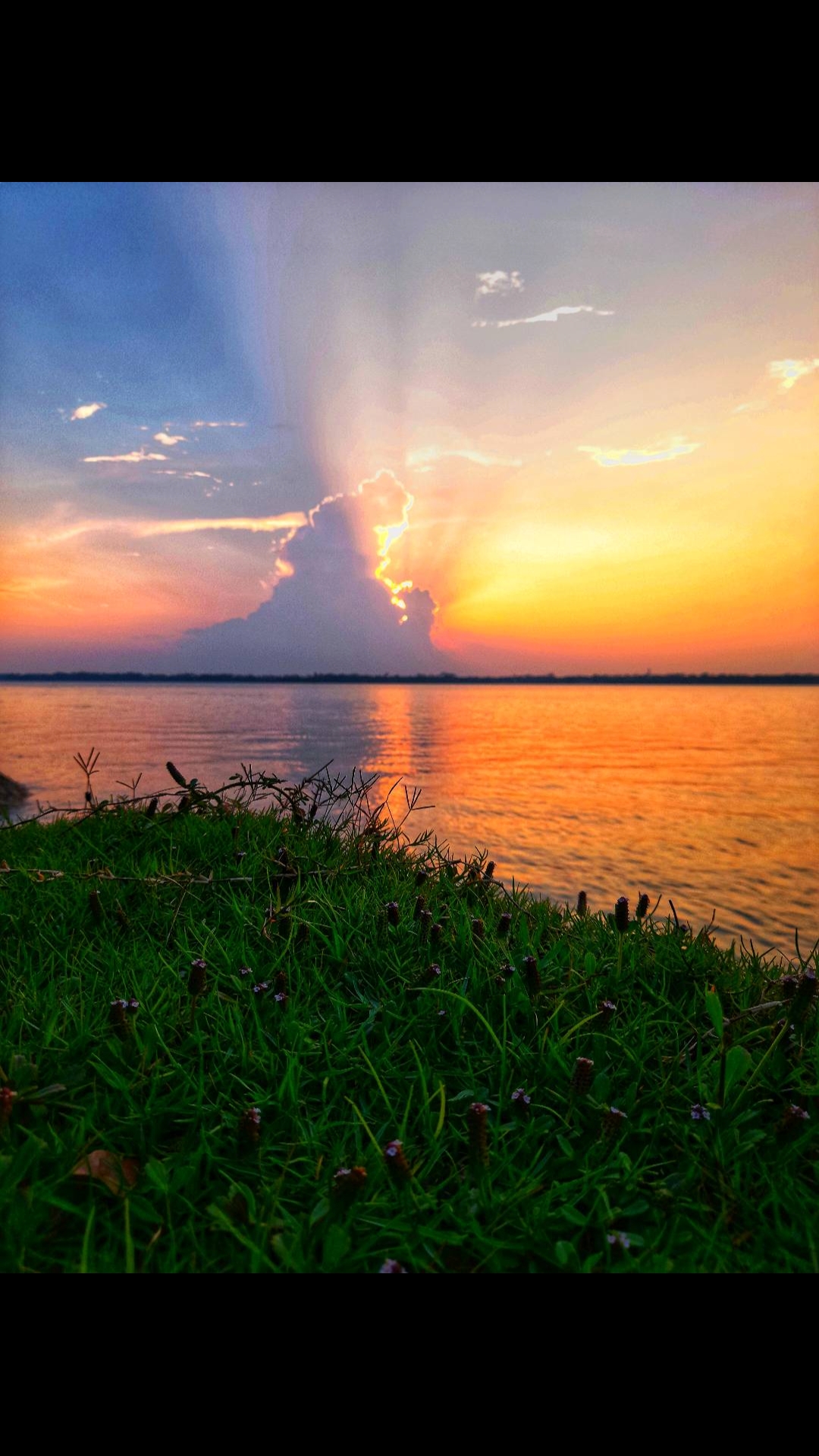@Close to Nature. đ§đŠ