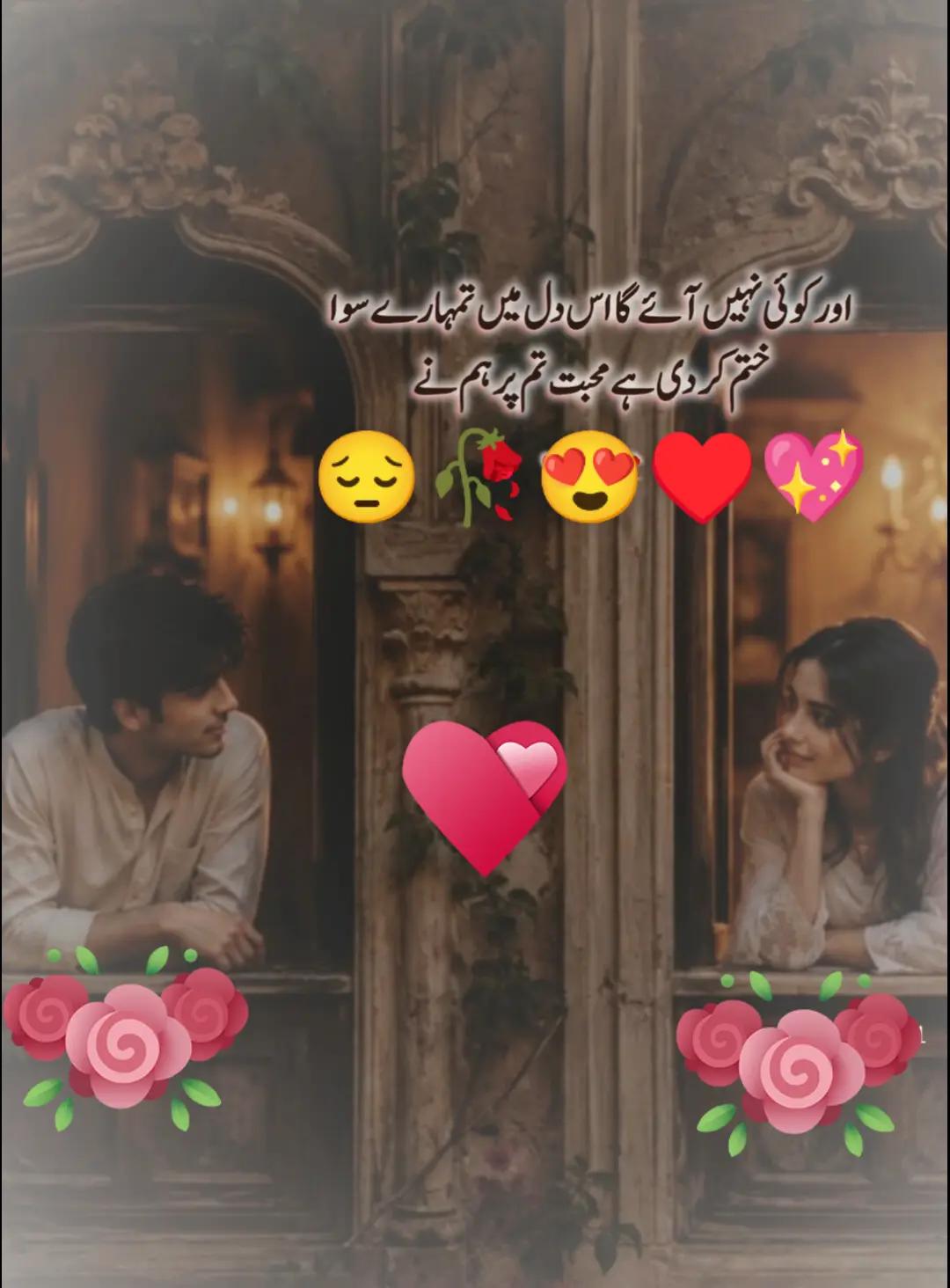 @Hassan Hussain💞