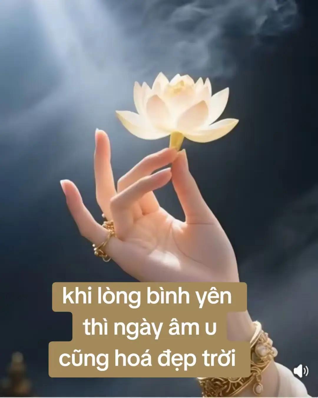 @🍁🍀An Nhiên❤️🩹❤️🩹