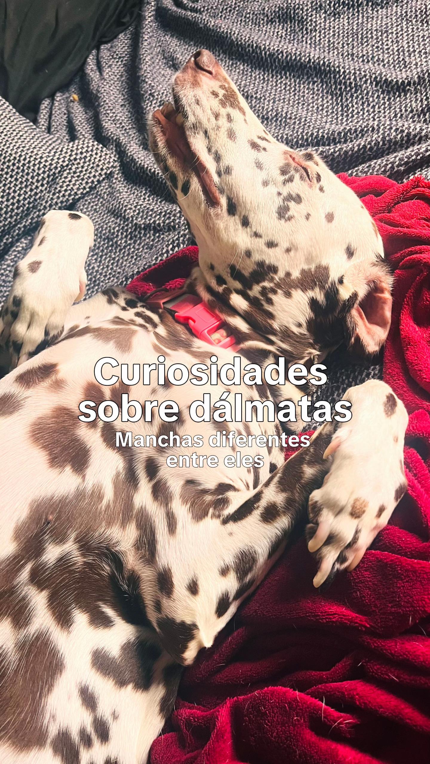 @Margô e Jude