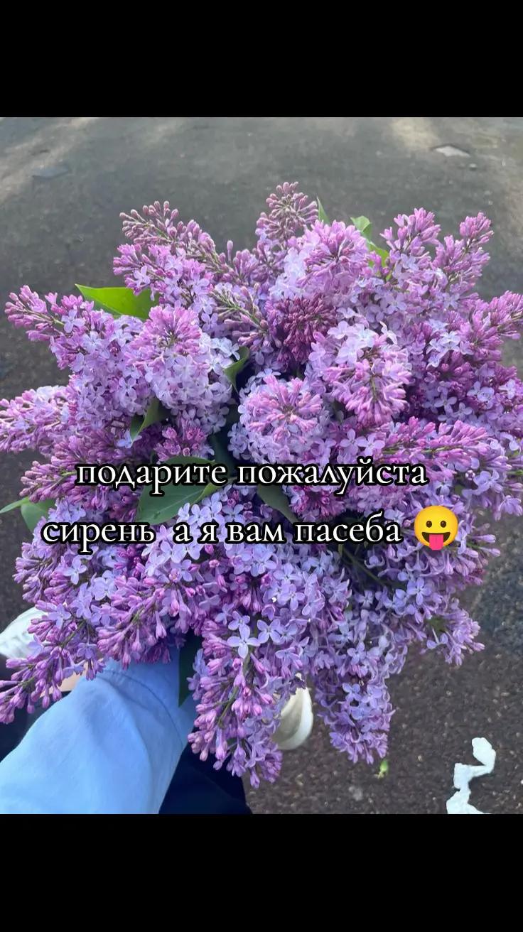 @Соняоу🍥