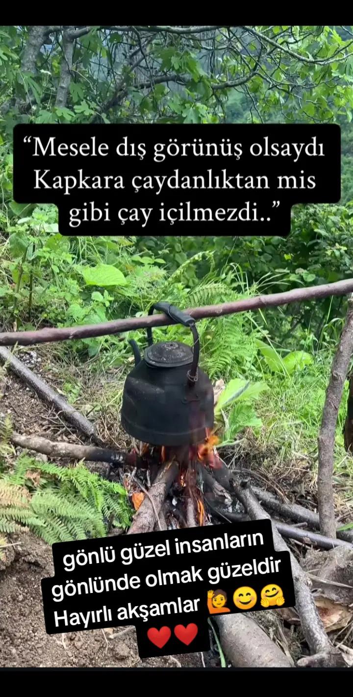 @Serpil G&uuml;neş
