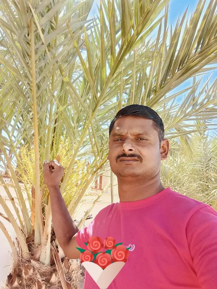 @MD shamshad
