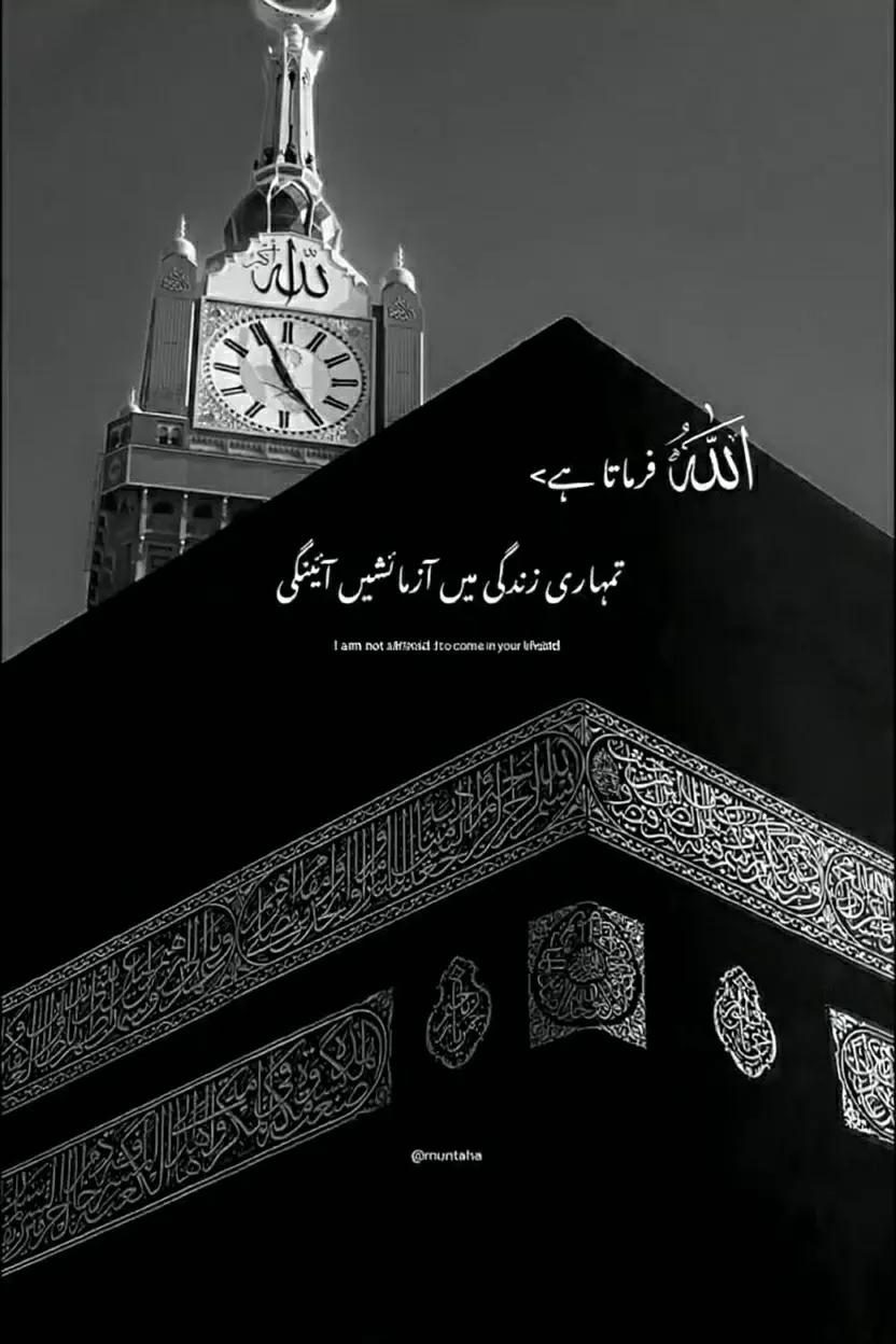 @🚩شاہ جی کہتے ہیں🚩