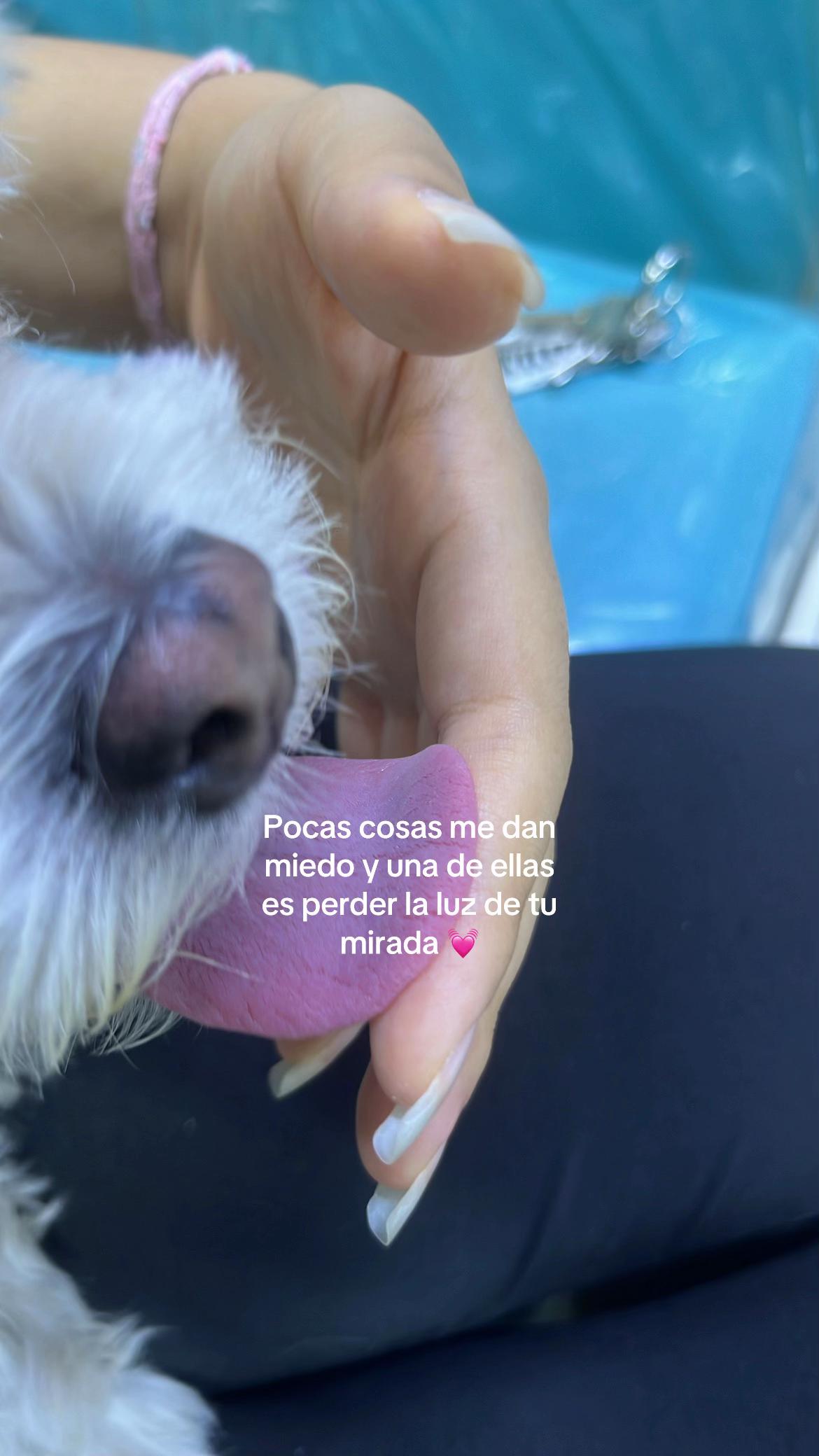 @Mariana Zurita