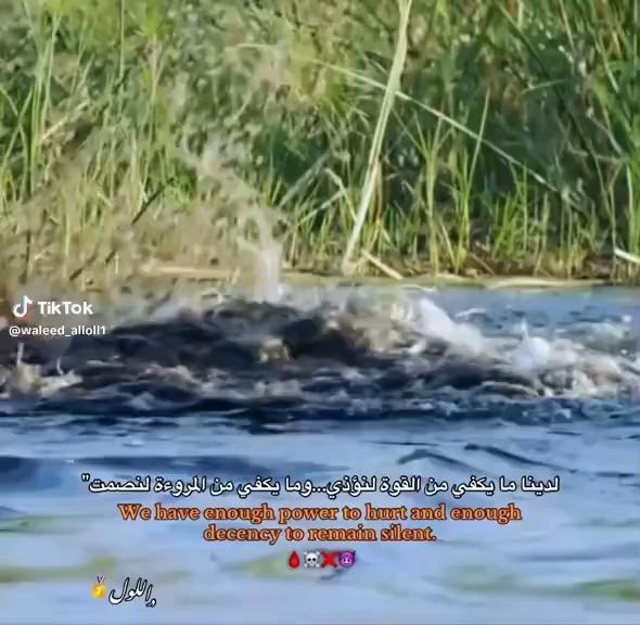 @چوني الترند🔥