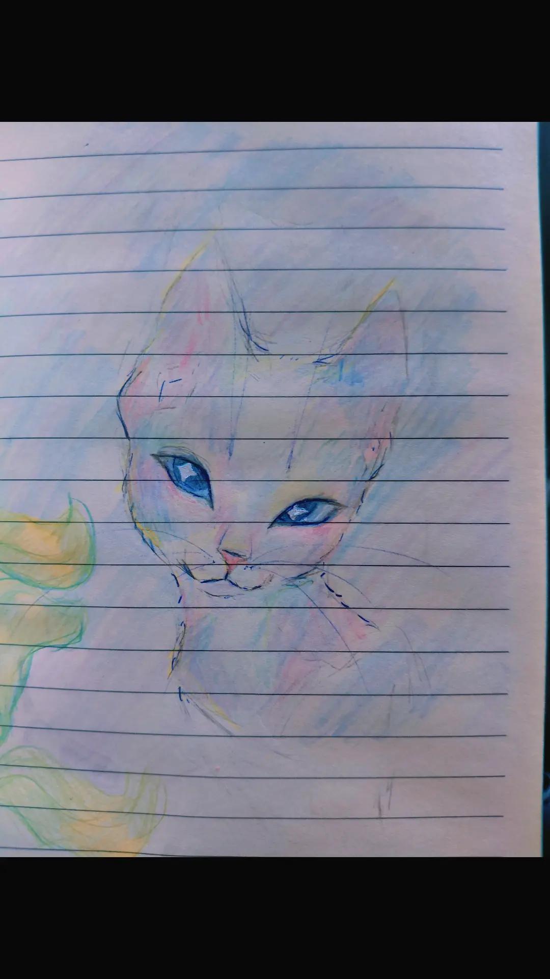 @๐ฉ๐งท๐ฐ๐๐๐๐งท๐ช
