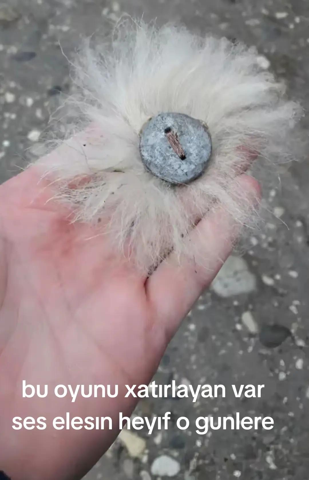 @AMİD