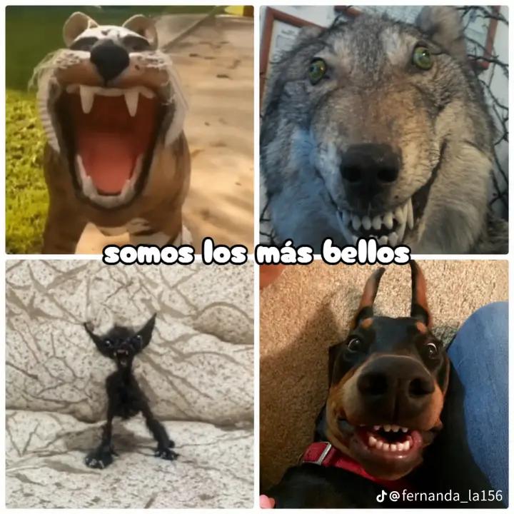 @xx.عگقپش.ط.زوص