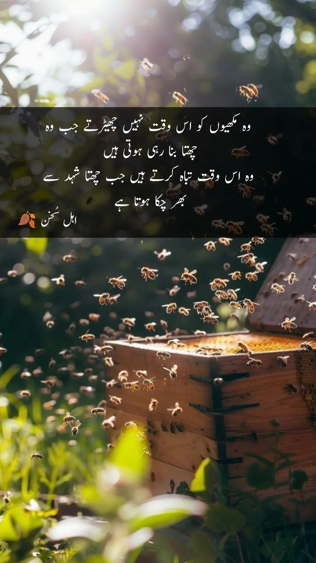 @اہل سخن 🍂