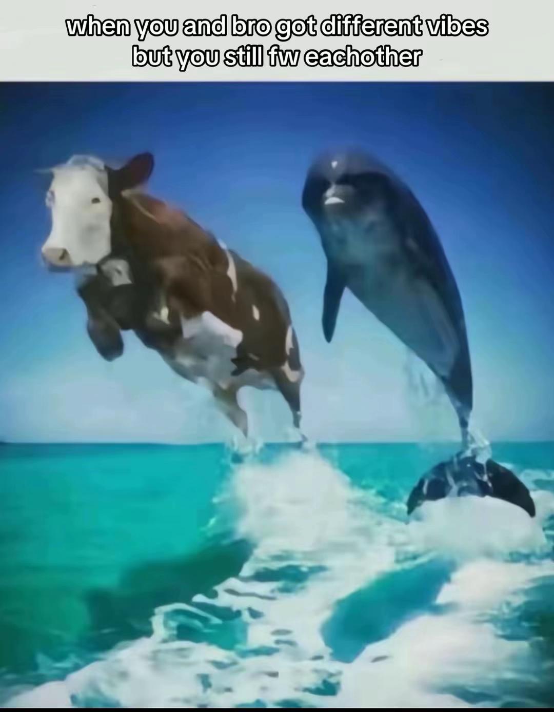 @𝓚𝔂𝓻𝓮𝓷