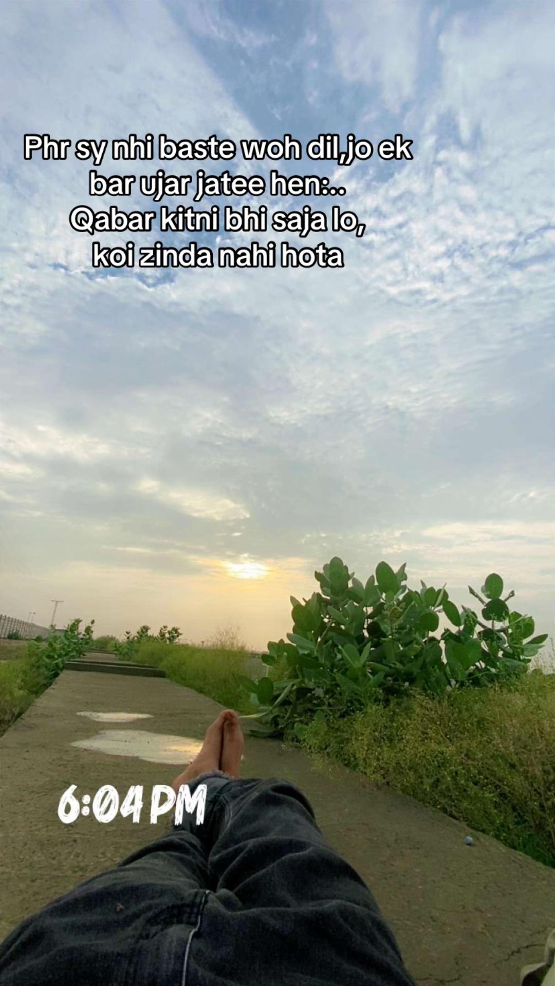 @🕊️