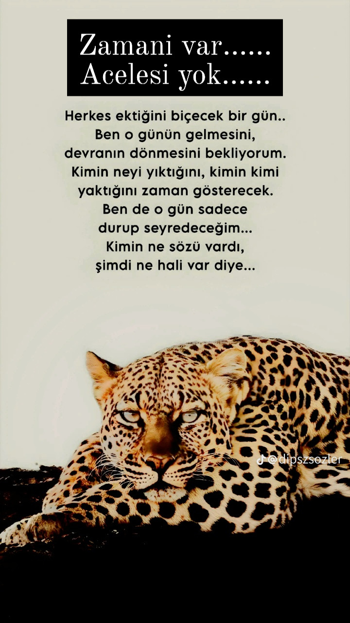 @Ayhan Sena ibrahimHatice Yavaş