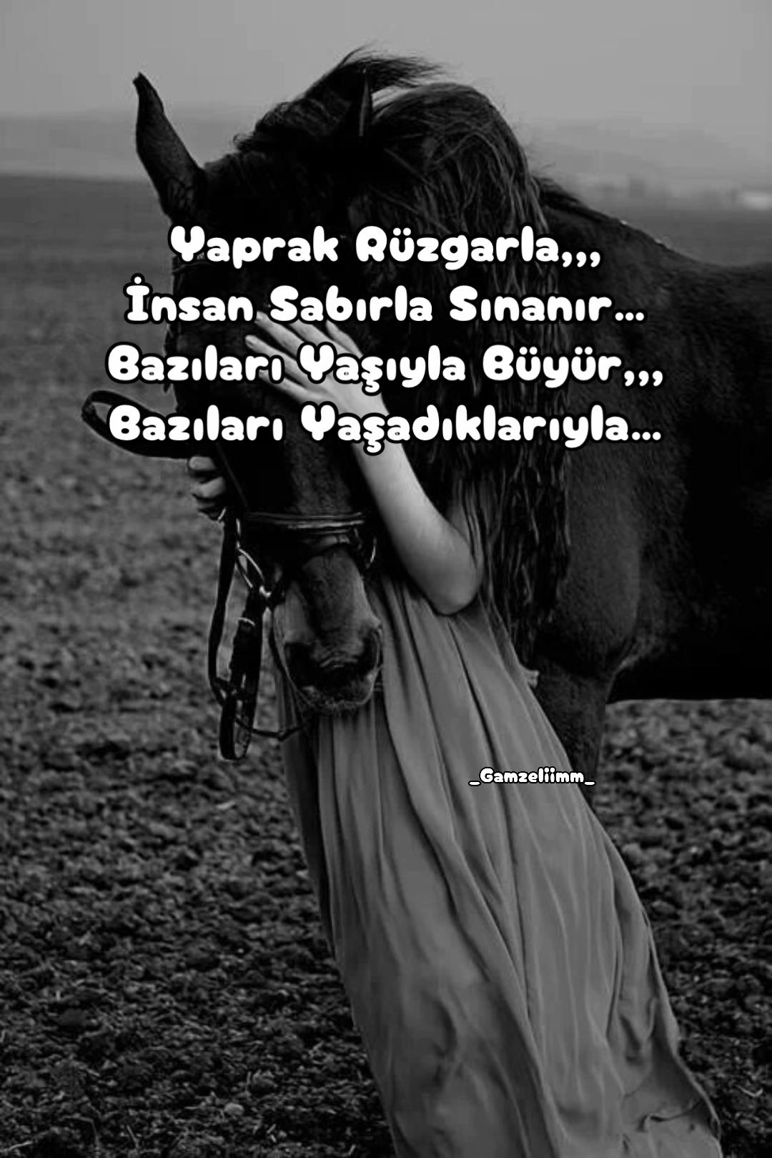 @Gamzeliimm