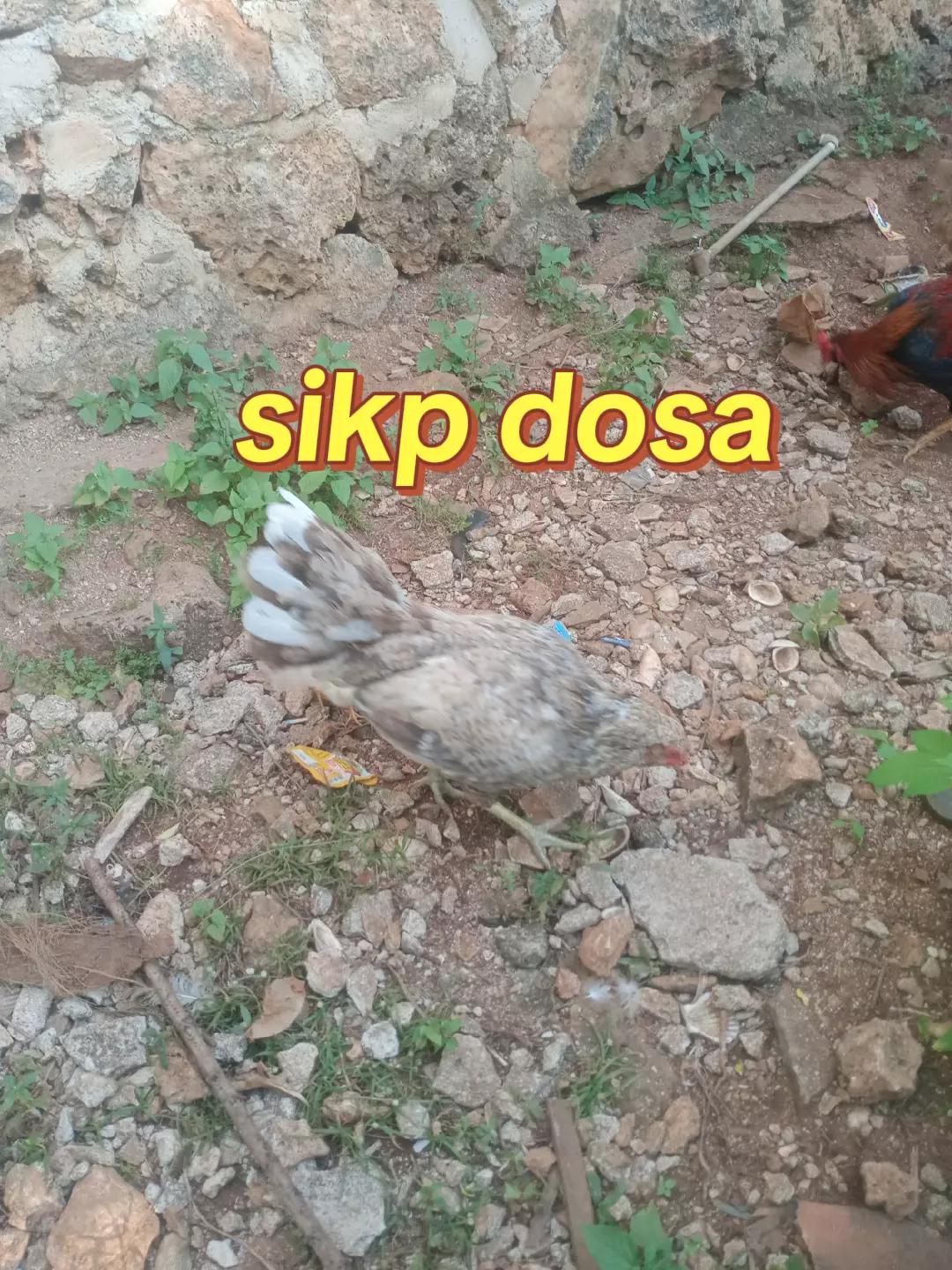 @onde lowuz