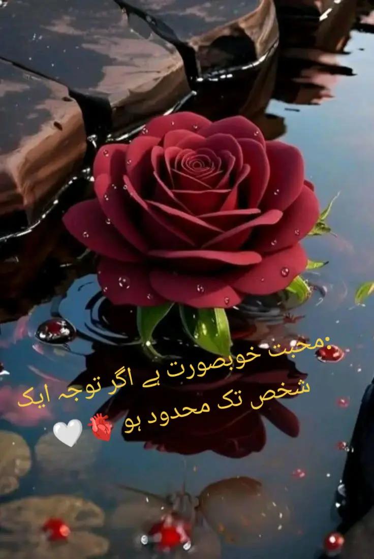 @𝚃𝚑𝚎 𝙴𝚗𝚍💔💔