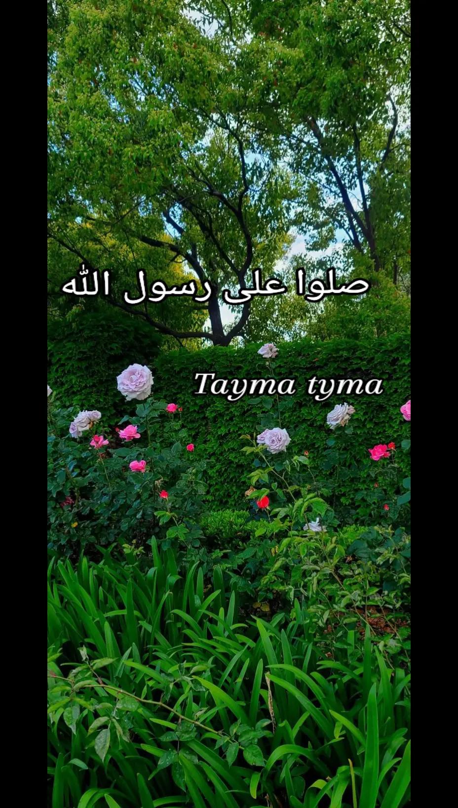 @🎀 Tayma tyma 🎀