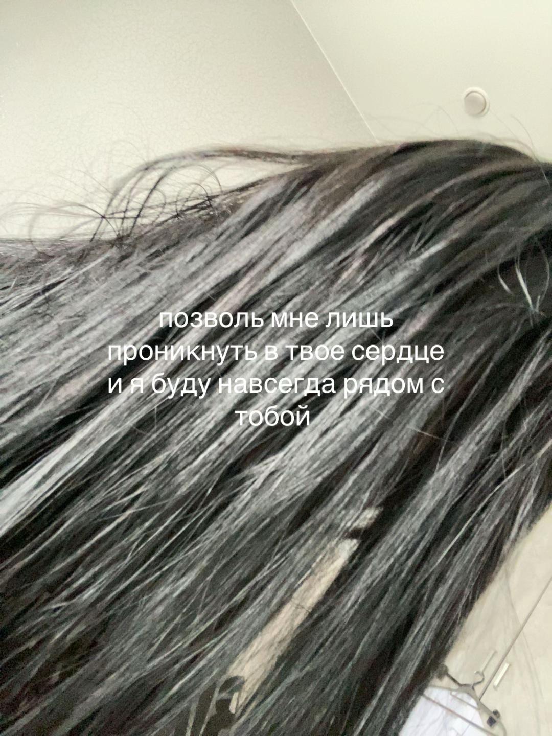 @nikffzd