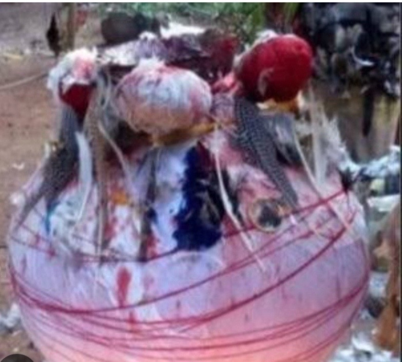 @Dr Fada Nnayerugo