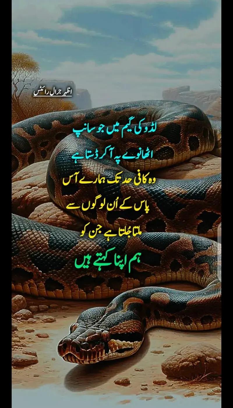 @Azhar_Jarral