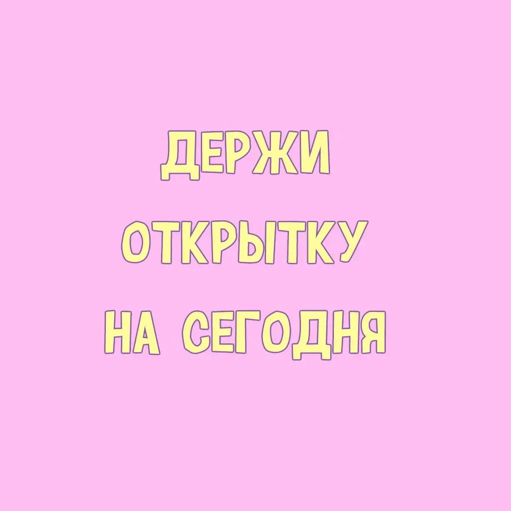 @SHiN_XL🐾