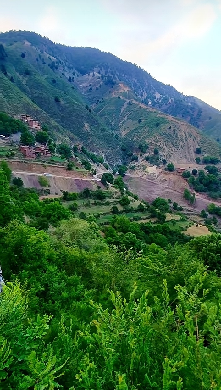 @𝐌𝐀𝐍𝐒𝐎𝐎𝐑🌲🦅𝐀𝐫𝐦𝐚𝐧𝐢