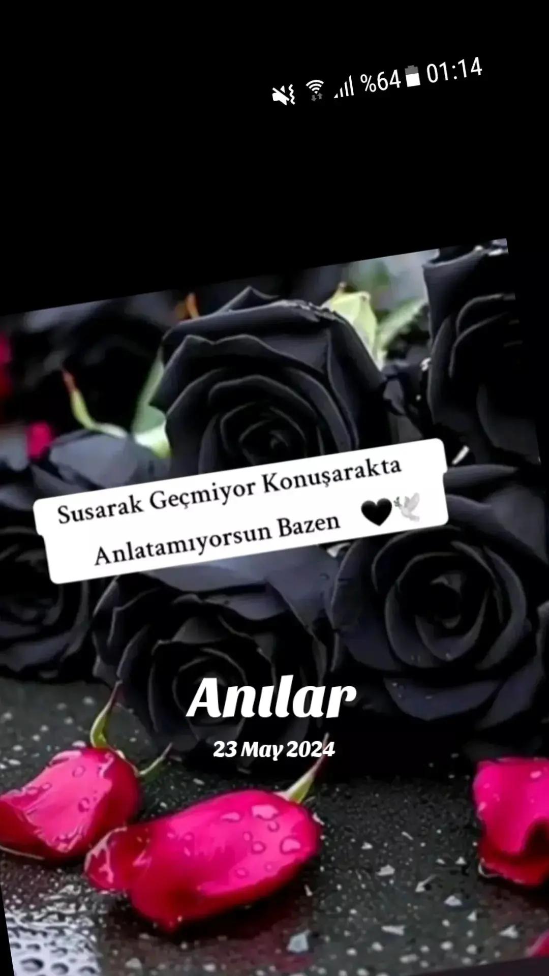 @🍂Zeynep 🍂Halil🍂