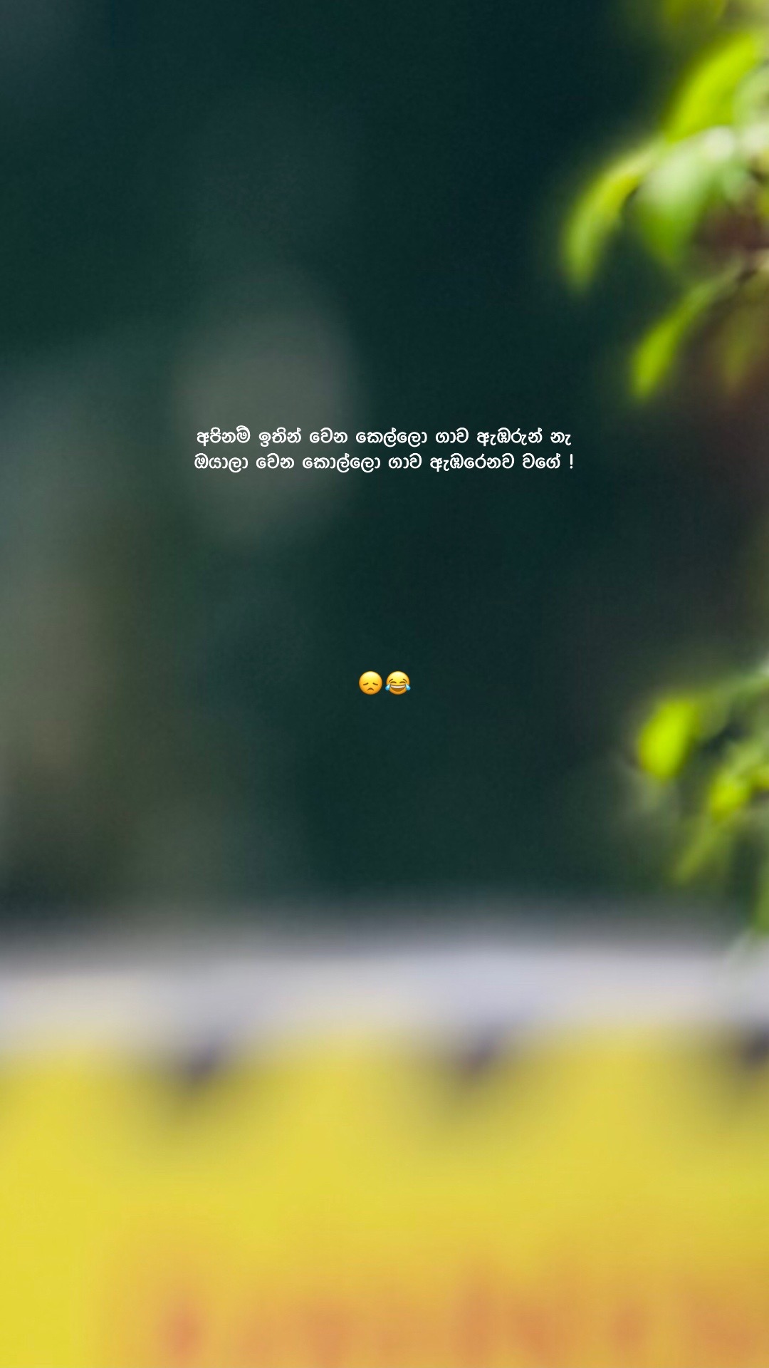@Ꮪꪖꪀꪊ 👤&rdquo;