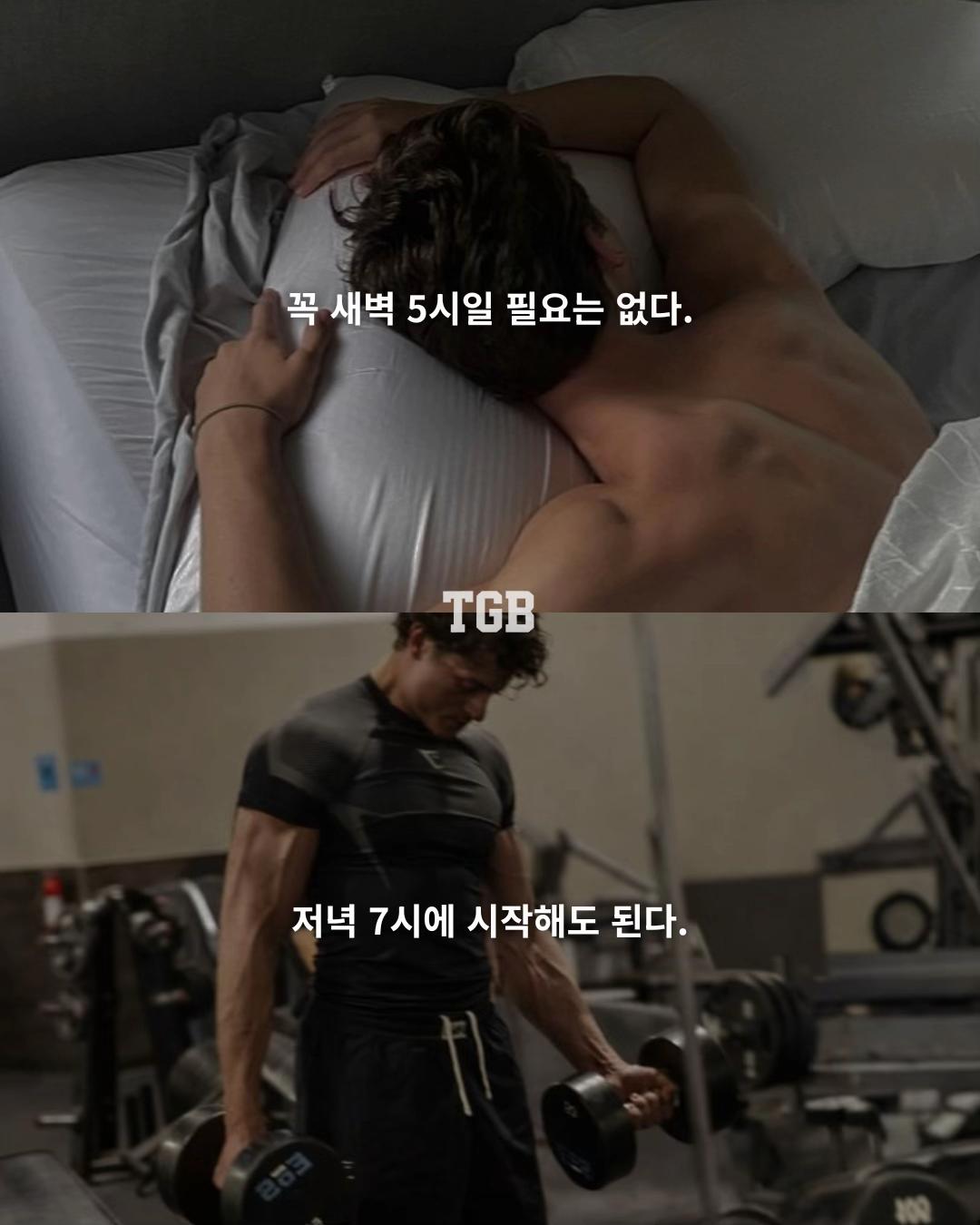 @TGB | 더 게인즈 바이블
