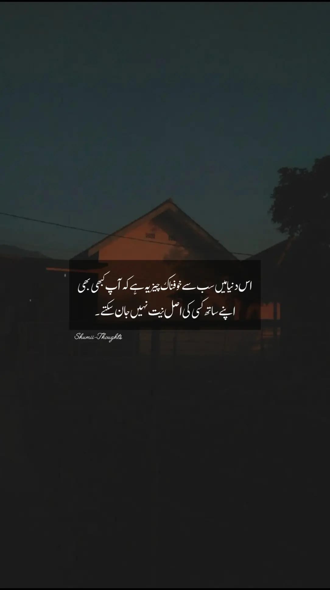 @shumaila malik