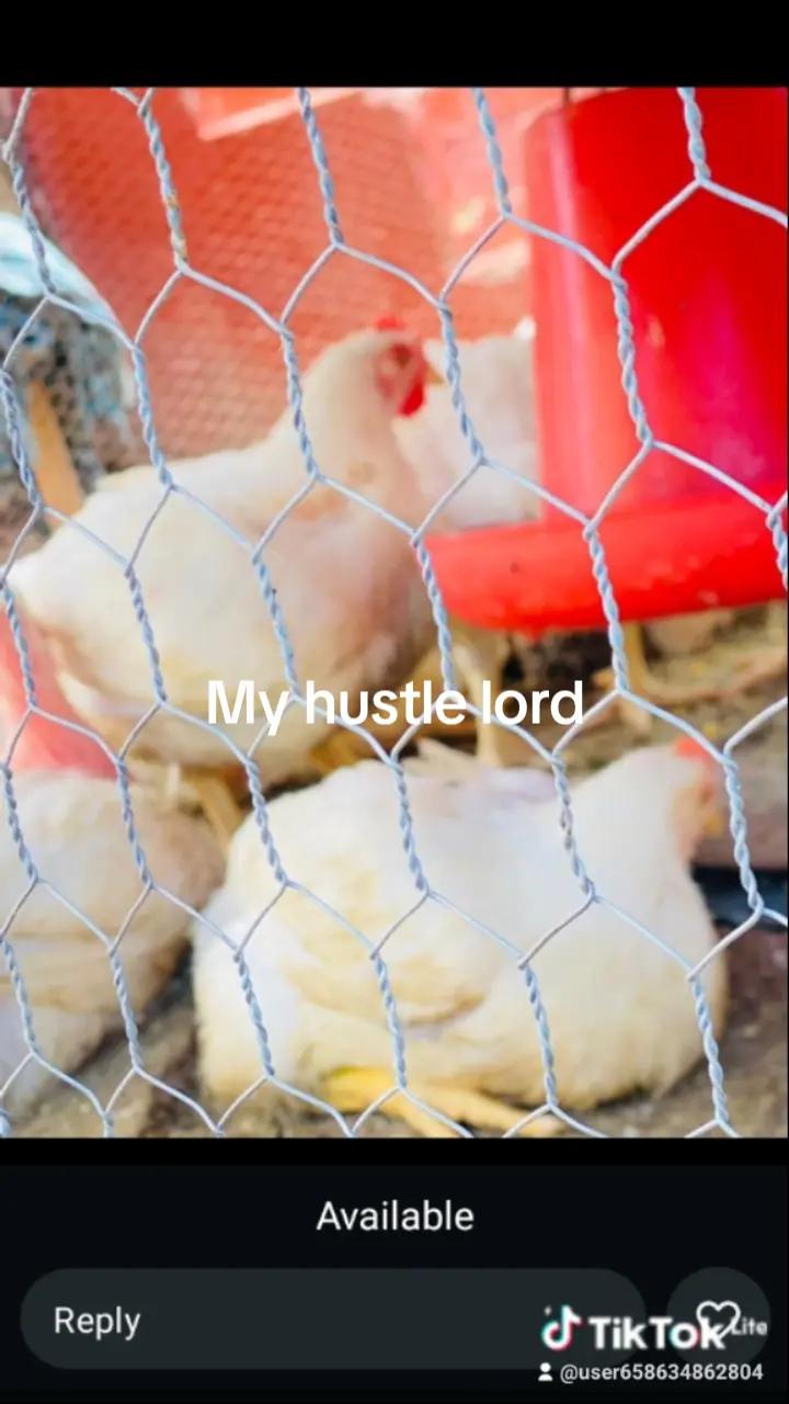@SK