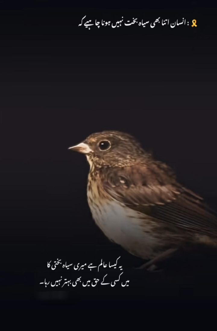 @🥀معصوم لڑکی🥀