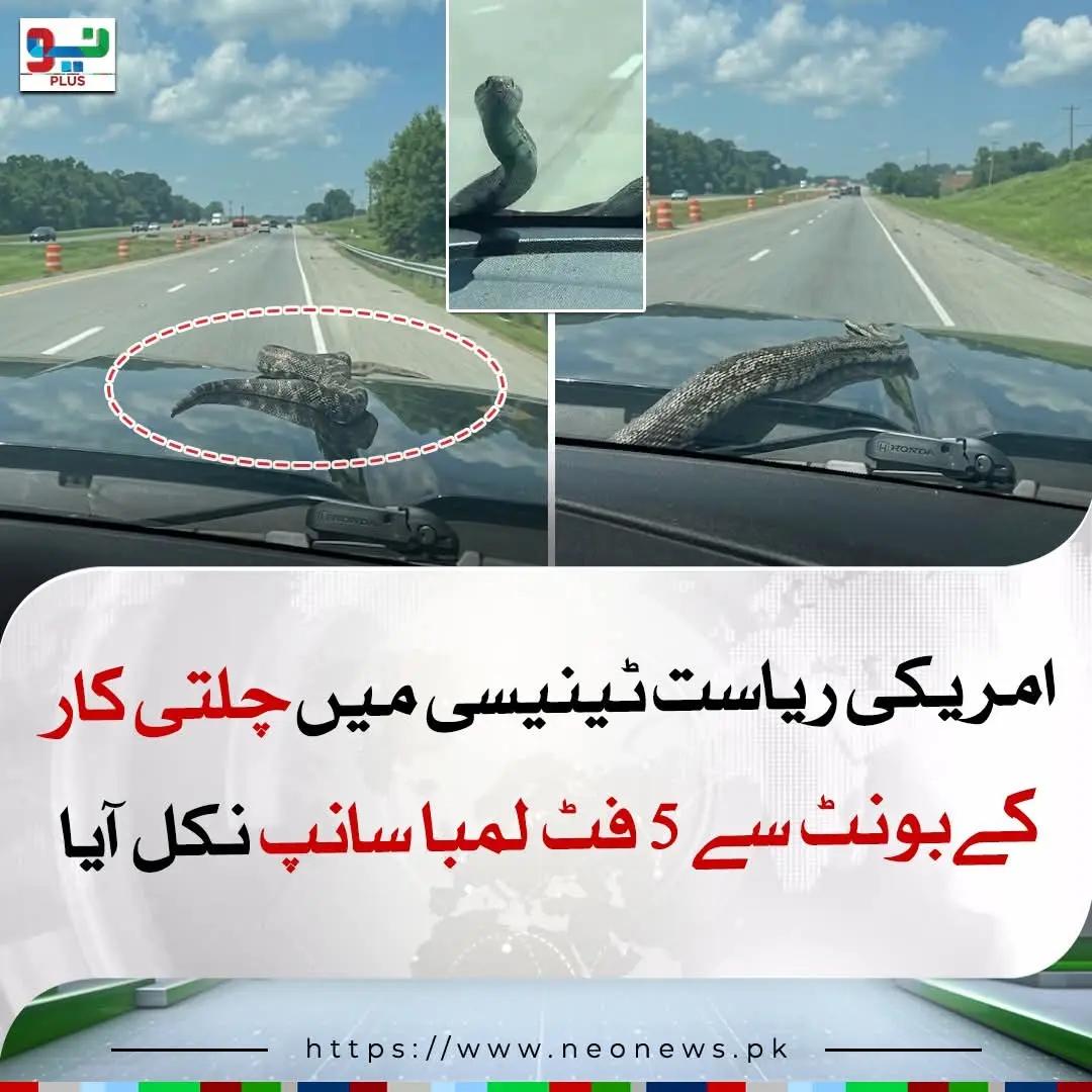 @غلام عباس 🗣️