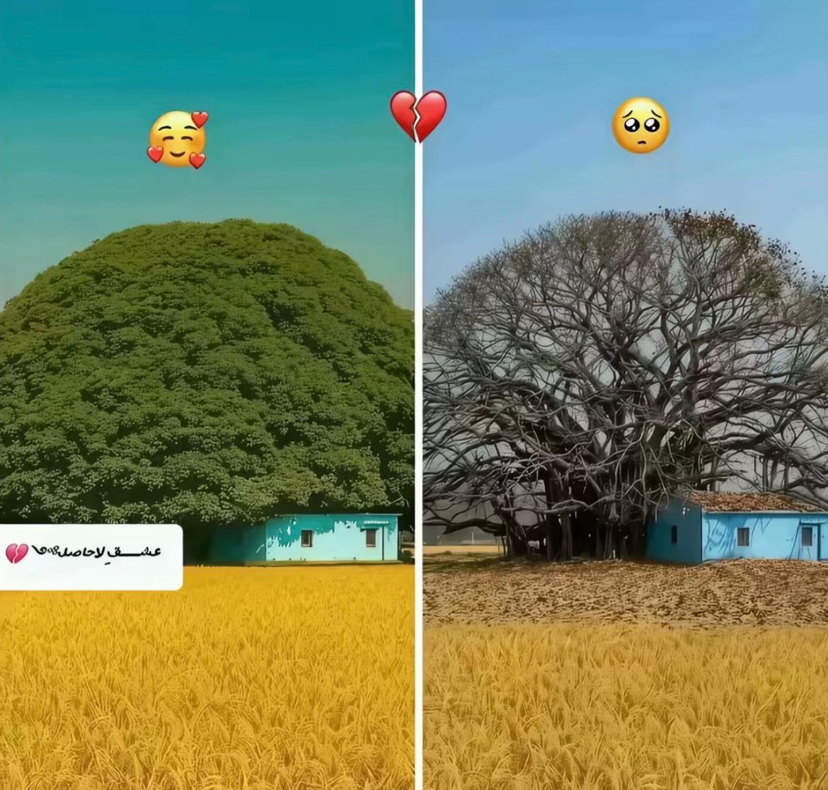 @꧁𓊈🇳🇵𒆜🆁🅾🅷🅰🅽𒆜🇳🇵𓊉꧂