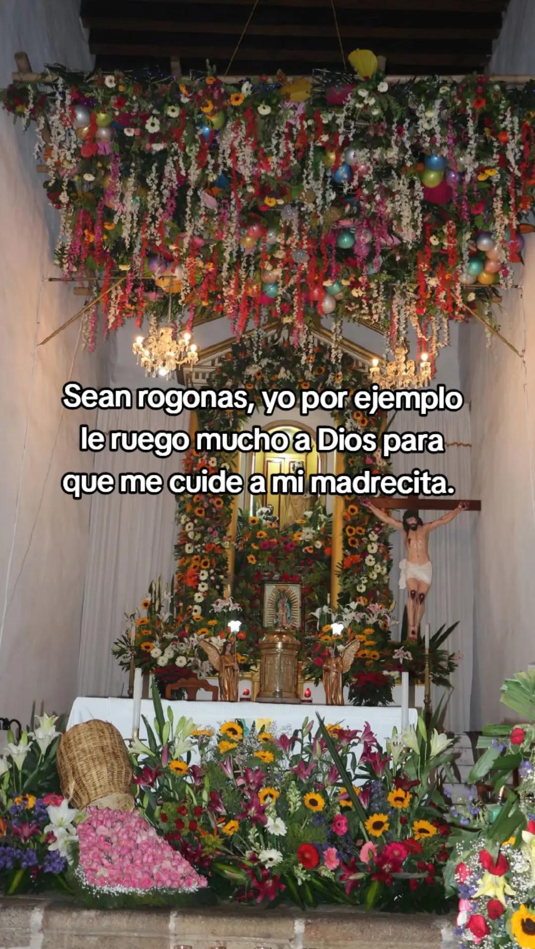 @E R I K A 🌸🦔