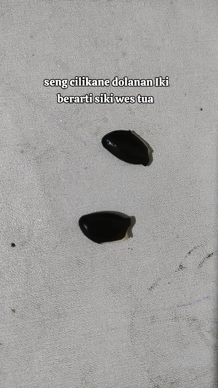 @Kakunge odav